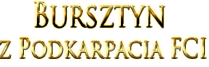 Nowofundlandy - Bursztyn z Podkarpacia